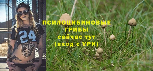 гидропоника Балабаново