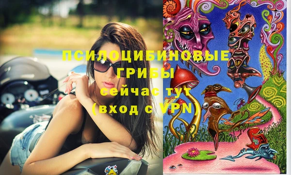 гидропоника Балабаново