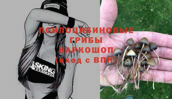 каннабис Баксан